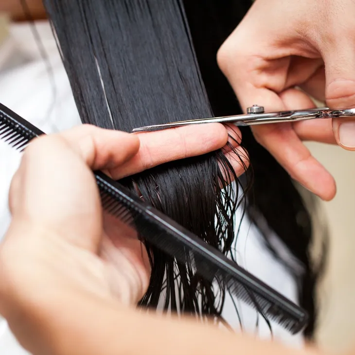 Wash, Cut & Blow Dry $45+