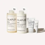 The Healthy Hair Shampoo and Hydrating Conditioner Gift Set